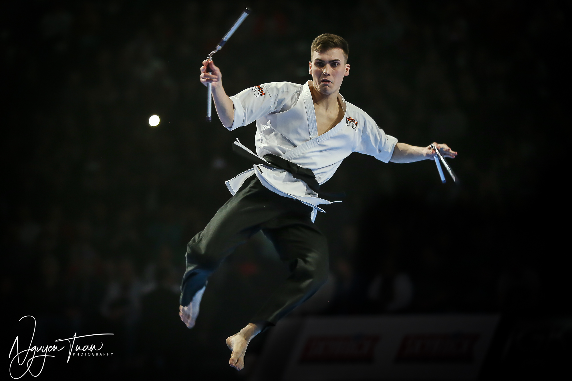 20190324 Festival des Arts Martiaux 4604